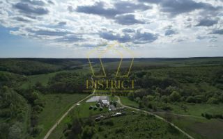Casa de vacanta cu teren si padure de 3.8ha | Nadas | Herneacova - Poză 11