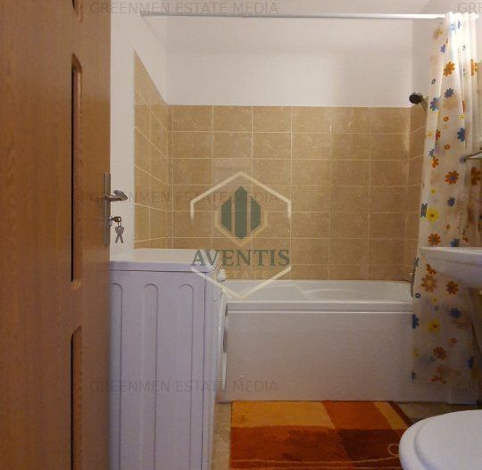 Renovat recent, bloc reabilitat, lift schimbat, Gara de Nord Dinicu Golescu - Poză 9