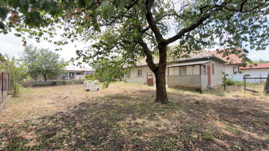 Casă 3 camere, Teren 1036 mp Front 22 m - Str. Florilor 46 - Carei - Poză 2