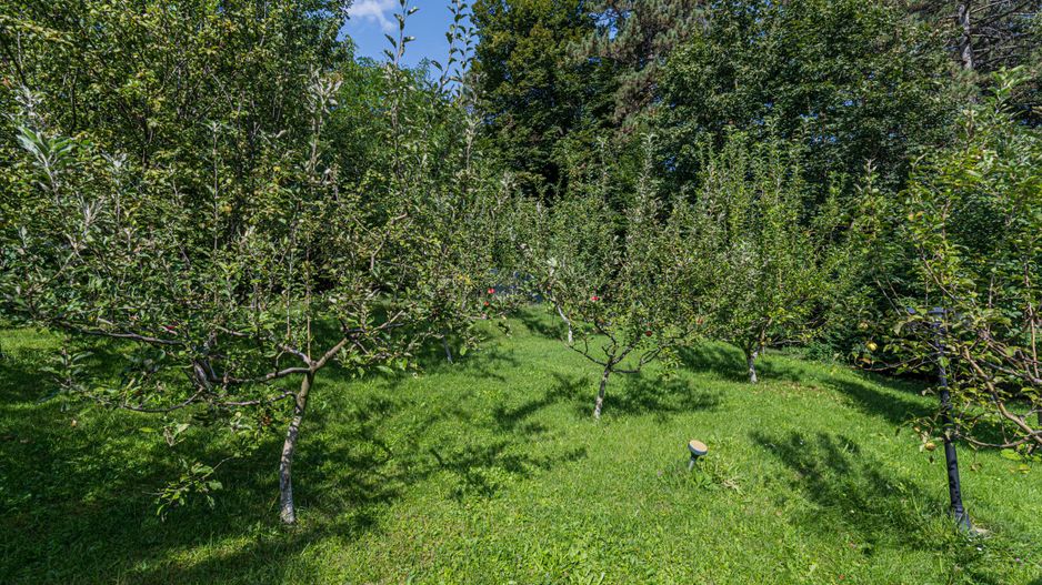 Vila de lux,  de inchiriat! Drumul Poienii! - Poză 58