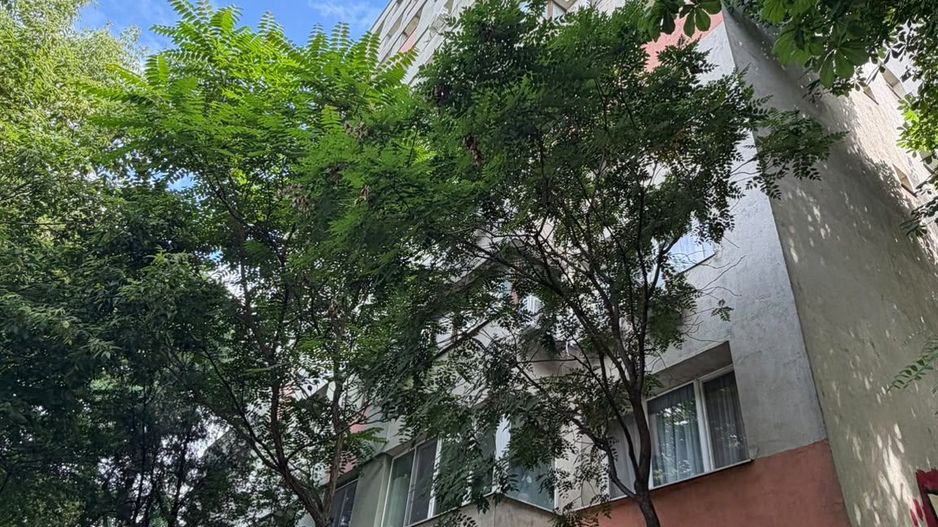 Apartament renovat | Colentina | Tripla Expunere - Poză 15