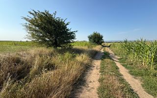 Teren extravilan | Rădăuți | 600 m de centură | 20 m front - Poză 1