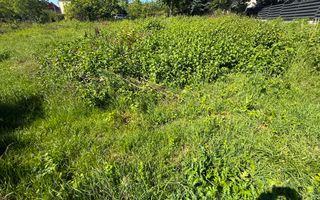 Teren intravilan  zona rezidențială Buna Ziua - Poză 2