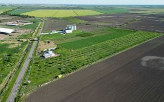 Livadă de nuci și pruni 2.4ha în Variașul Mare - Poză 8