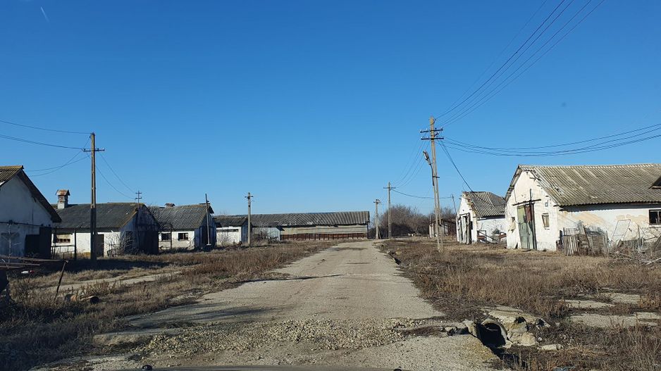 Vând teren intravilan 10 hectare Crevedia, cu gaze și curent. - Poză 6