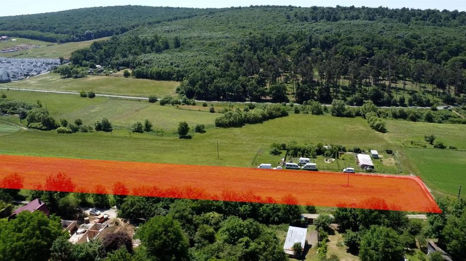 Ansamblu Funciar pretios,14 loturi adiacente, langa padure, Budiului,Targu Mures - Poză 3