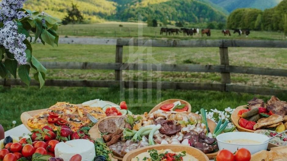 Complex Turistic- Valea Avrigului – 3,5 mil. € | Avans 500.000 € | Rate 15 ani - Poză 12