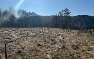 TEREN INTRAVILAN 5000MP, LERESTI, ARGES