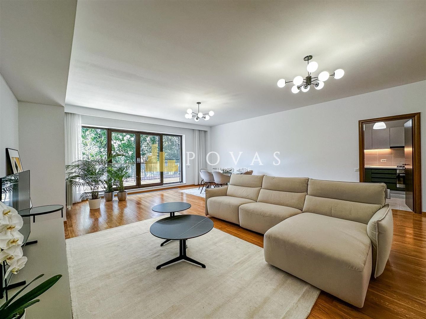 Inchiriere Apartament Kiseleff Aviatorilor 4 Camere - Poză 15