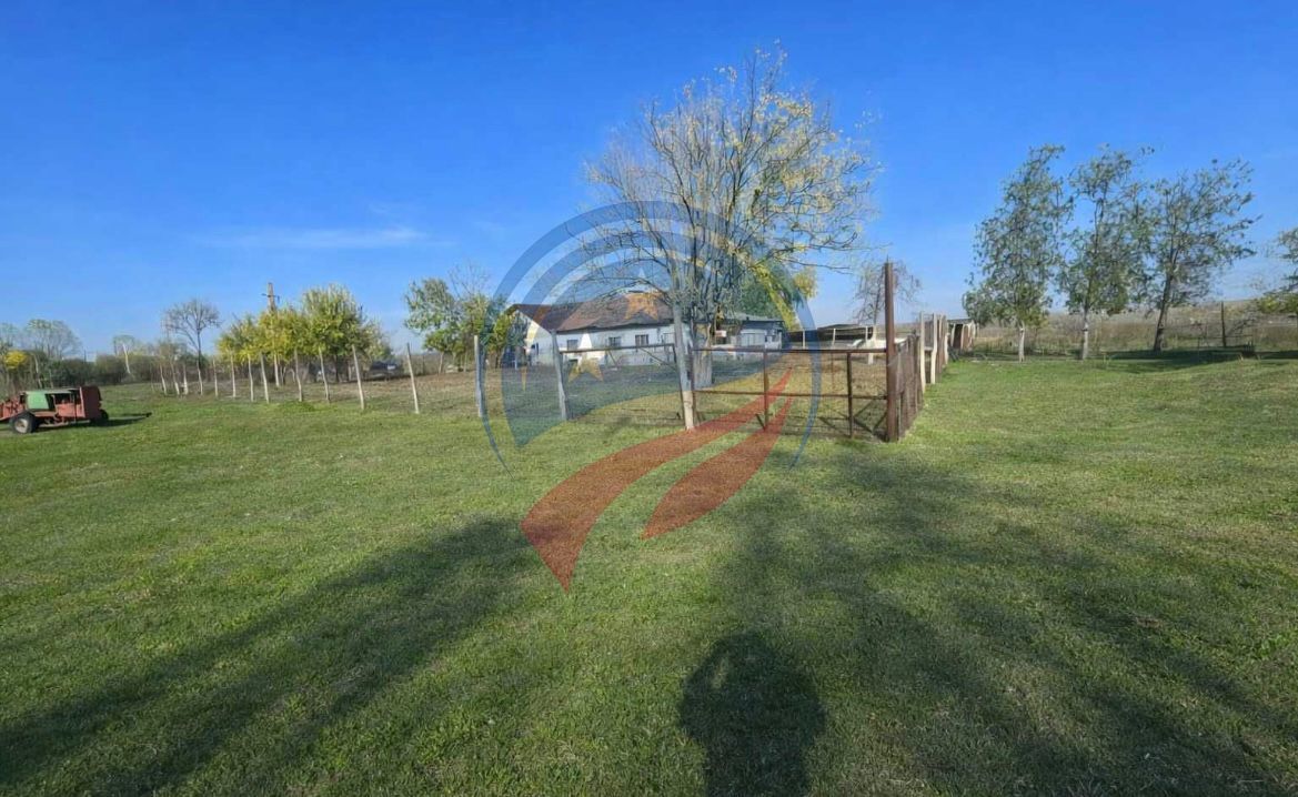 Casa de vanzare Macesul de Jos - Poză 6