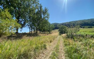 Teren intravilan 2600 mp - pretabil casa/investitie-Zona Aerodrom - Poză 5