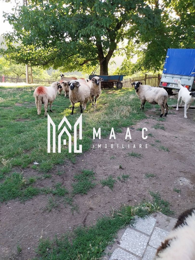 Proprietate cu 60000 mp pamant la pret de apartament - Poză 25