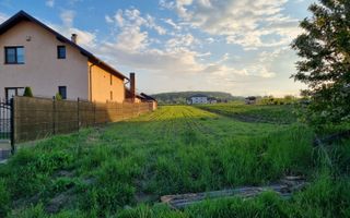 Teren intravila Ilișești - Poză 6