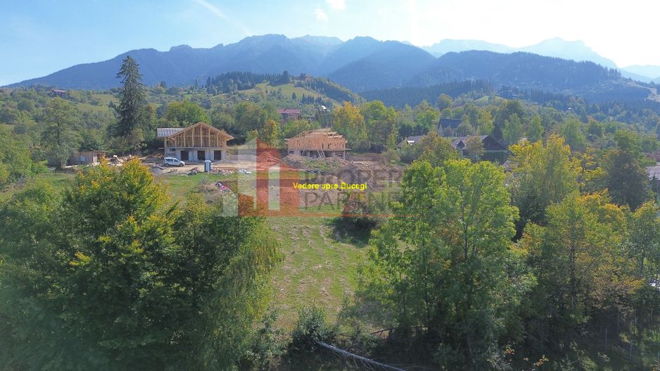 Teren intravilan 1.612 mp | 2 fronturi | Vedere Bucegi | Bran Poarta - Poză 9