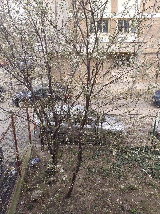 9 camere, Bd. Ferdinand, langa metrou Iancului - Poză 7