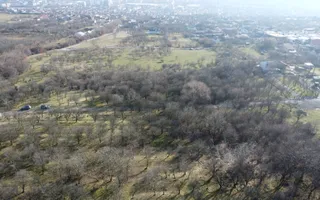 Teren 20.146 mp Dâmbu Rotund (Lomb).Extravilan.Potențial rezidențial - Poză 17