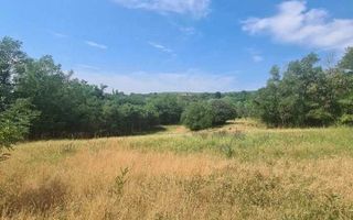 Teren | 12.922 MP | Loamneș - Poză 2