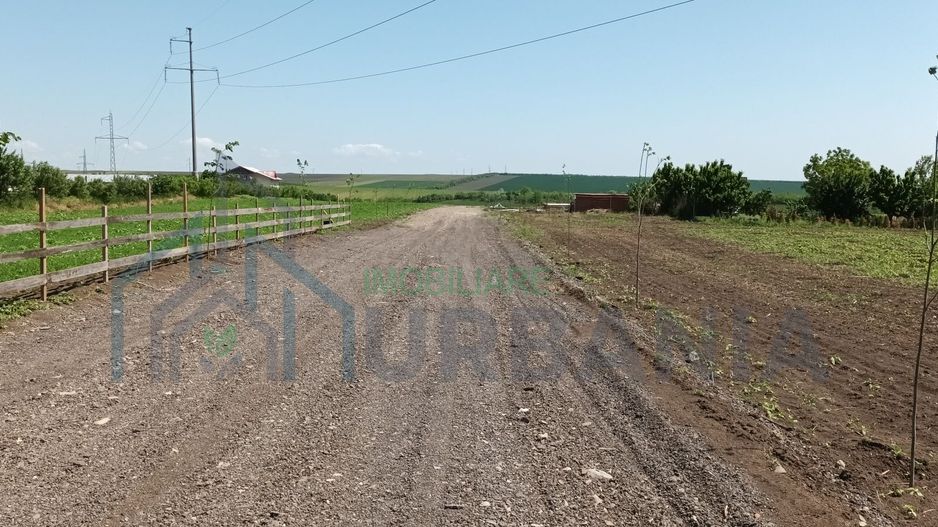 Teren de casă în Târgu Frumos, strada Petru Rareș – 500 mp - Poză 2