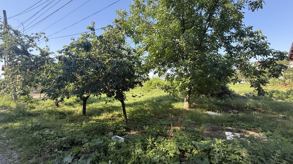 Casă renovanila lângă pădure 91 mp + teren 500 mp cu toate utilitățile - Poză 17