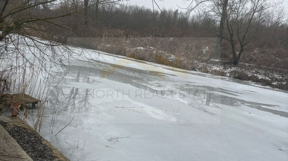 Vila modernă de închiriat pe termen lung – Siliștea Snagovului,  Jacuzzi  Ponton - Poză 25