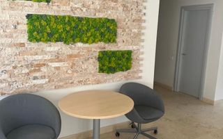 INCHIRIERE SPATIU | ETAJUL 1 | 152MP | ZONA MIHAI BRAVU - Poză 6