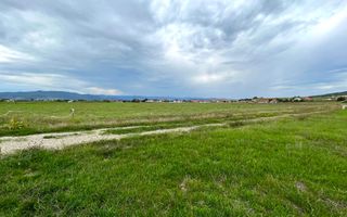 Teren de vanzare in Ciugud, 4200MP, Priveliste, Padure - Poză 4