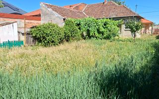 BRASADAS vinde casa 3 cam cu teren 5 ari in 14 Mai. - Poză 4