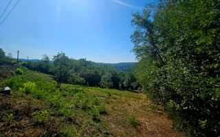 🌳 Teren intravilan 2322 mp, Păcuri – vedere superbă spre pădure! 🏡✨ - Poză 4