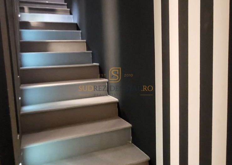 Vila individuala de vanzare, P+E+M, zona Dristor - Poză 7