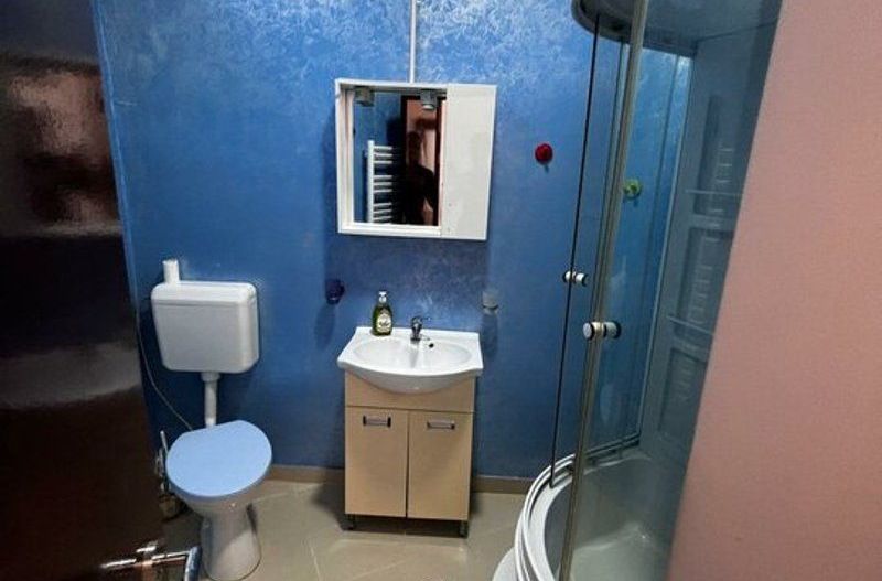 Casa singur curte Toporasi Cladova - Poză 11