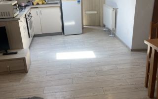 Apartament 2 camere, mobilat, zona Gării Iași - colegă de apartament - Poză 2