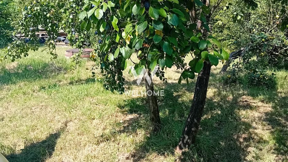 974 mp de vis, între pădure și cer - Teren intravilan, Cisnadioara, Sibiu - Poză 3