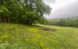 Teren Extravilan 4.572mp | Zonă liniștită | Sadu - Poză 6
