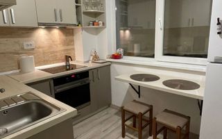 Apartament 1 camera Tatarasi Oancea - Newton Apartaments - Poză 7