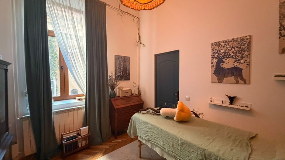 Apartament 5 camere  in vila - Zona Armeneasca - Poză 5