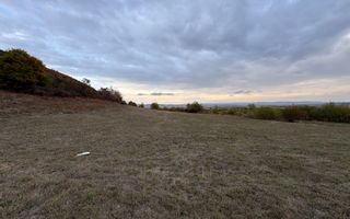 Teren de vânzare 5.000 mp | Poplaca | lângă pădure - Poză 7