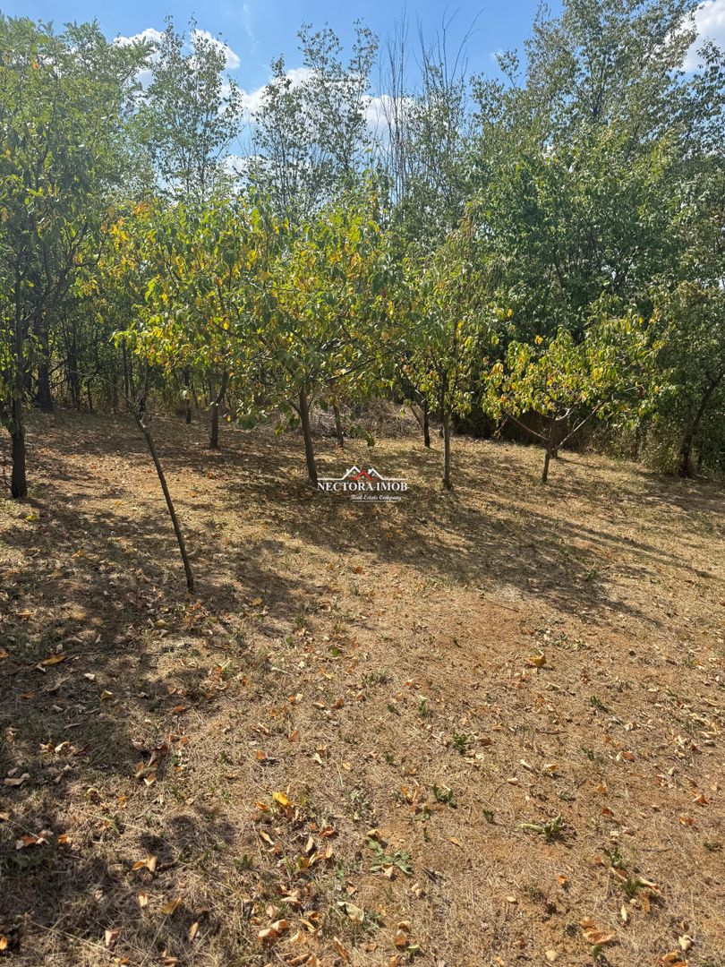 NECTORA IMOB-Casa cu etaj, mobilata, utilata, Episcopia, cu livada - Poză 5