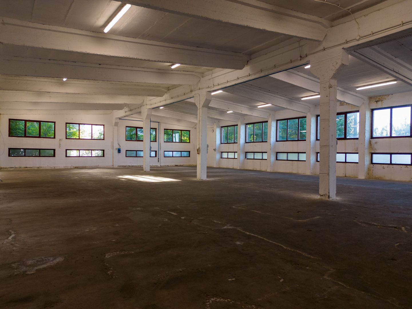 Hală industrială cu multiple destinații în Nădlac - Poză 35