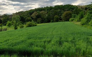 Teren cu acces la râu în Stejar – ideal pentru cabane sau retreat - Poză 1