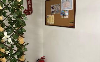 Vila de inchiriat pentru activitate afterschool/cursuri (etaj1/mansarda) Domenii - Poză 23