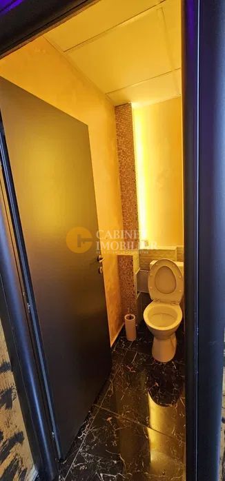 Spatiu comercial, Nicolina, Esplanada, 108mp, renovat - Poză 3