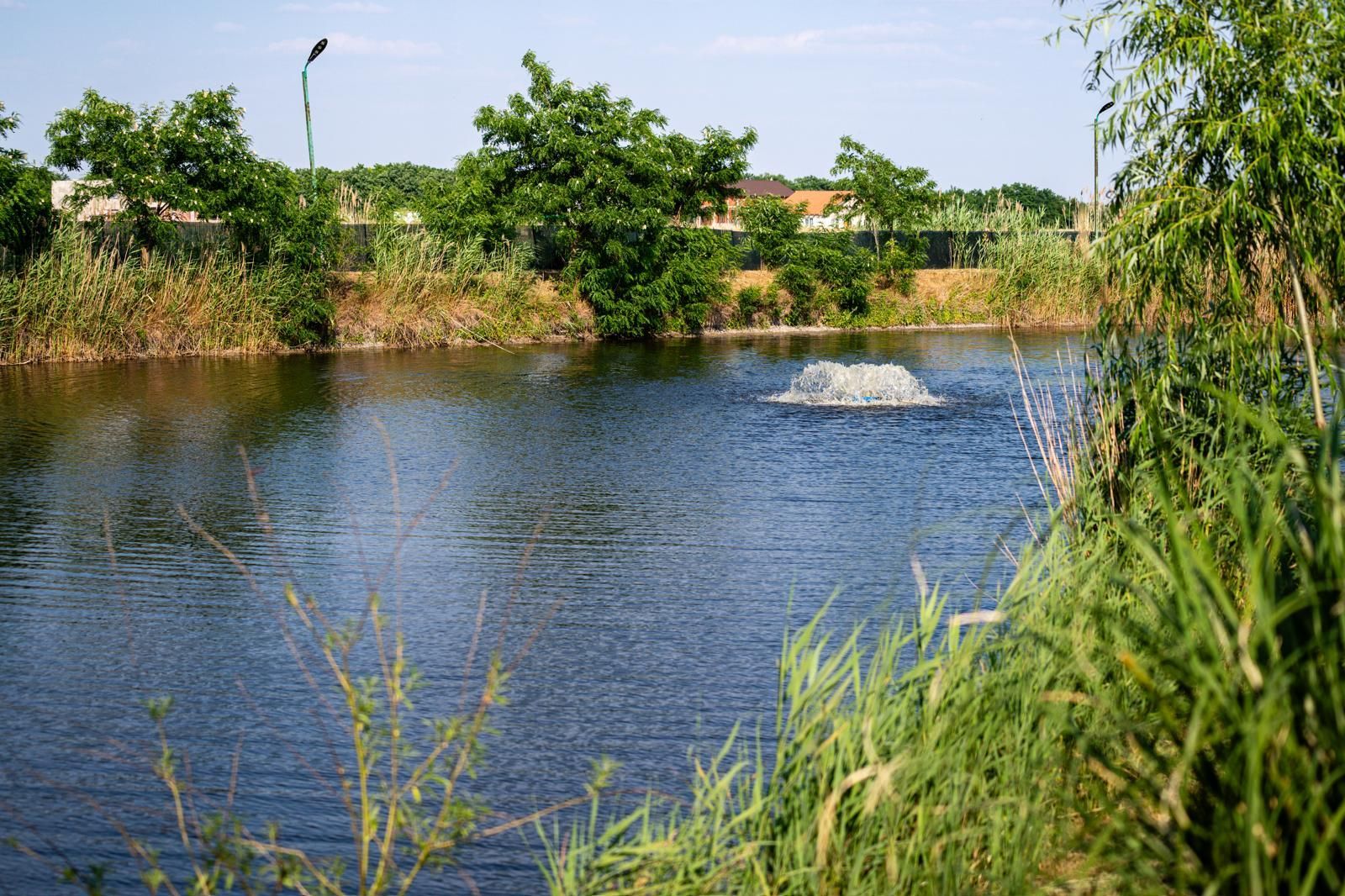Sala de evenimente cu  piscina si foisor Biled COMISION 0 % CUMPARATOR - Poză 26
