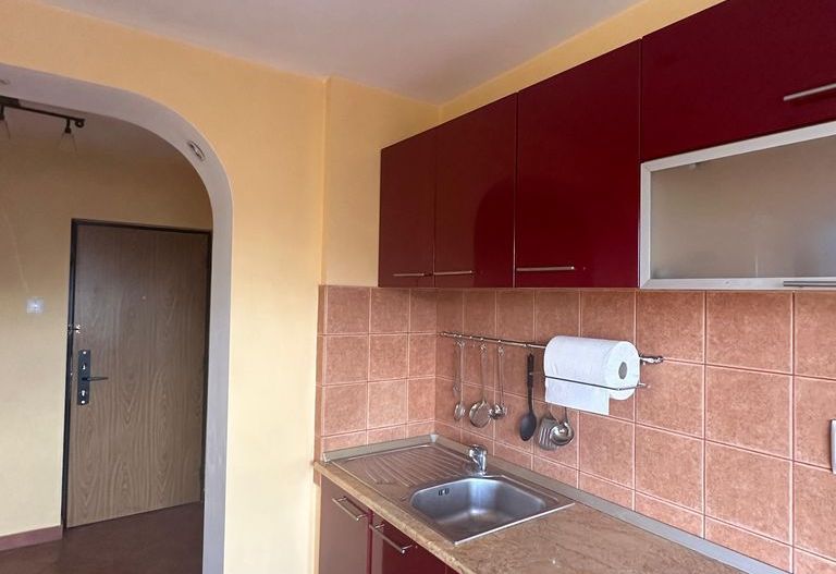 Apartament spațios 2 camere, vedere Delea Nouă – Theodor Speranția - Poză 5