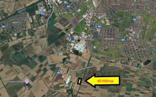 Teren extravilan 80.000 mp – lângă calea ferată & Profi Logistic – Șag - Poză 3