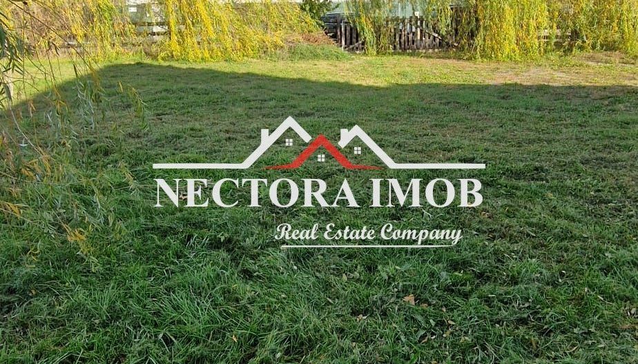 NECTORA IMOB-Centru medical multifunctional Osorhei E60, 1000 mp teren - Poză 18