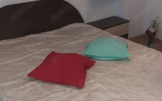 Apartament Timpuri Noi/Radu Vodă - Poză 4