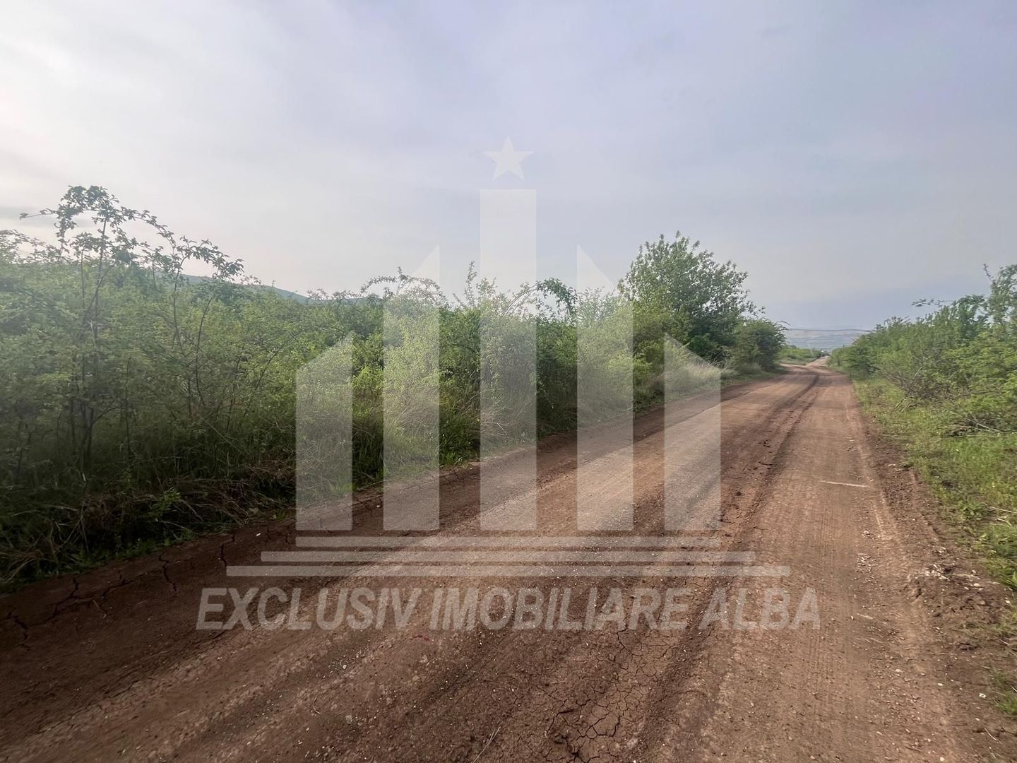 Teren intravilan de vanzare, Podei - Poză 1