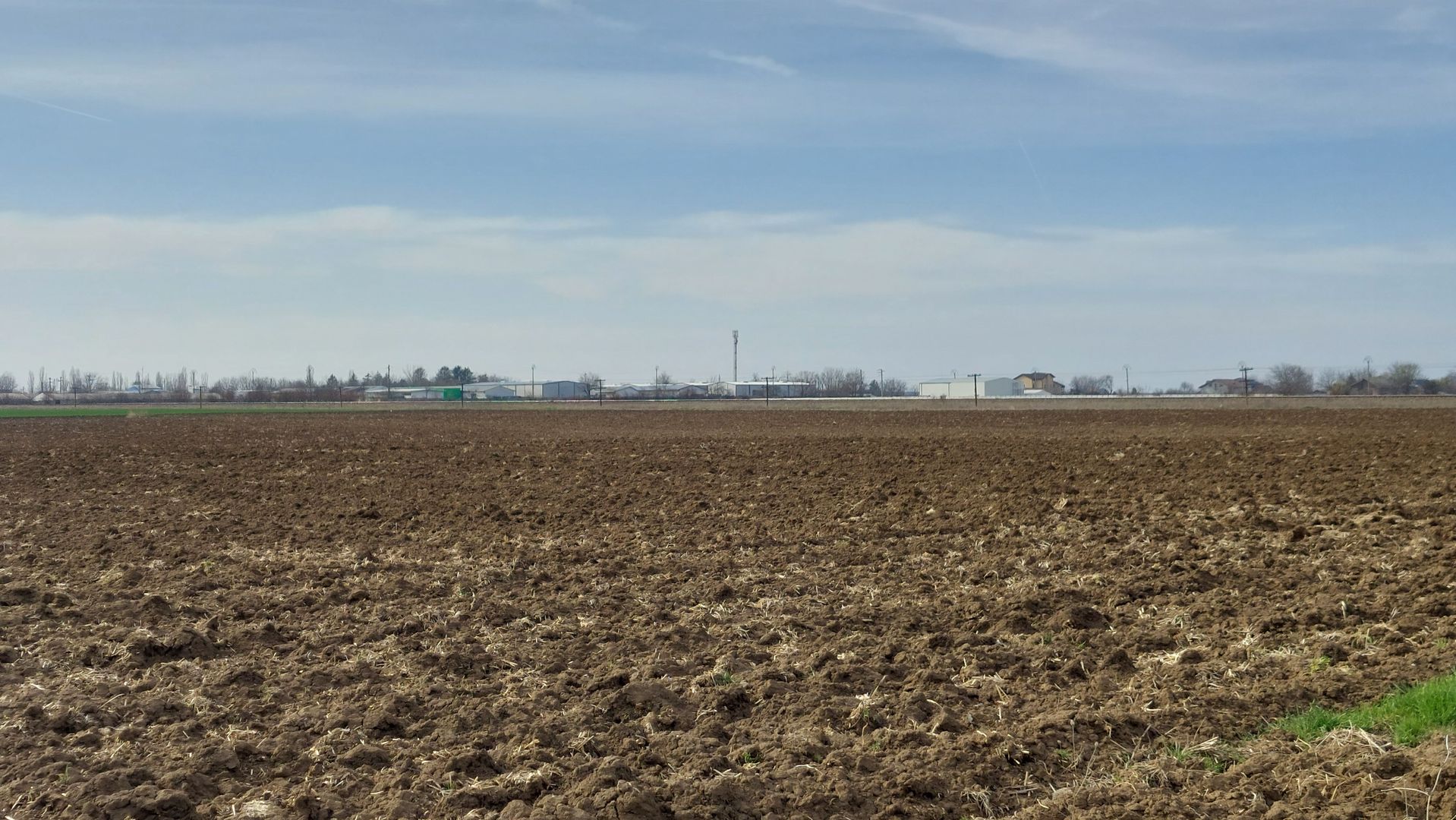 Teren 5,000mp Moara Vlasiei / Strada Morii - Poză 2