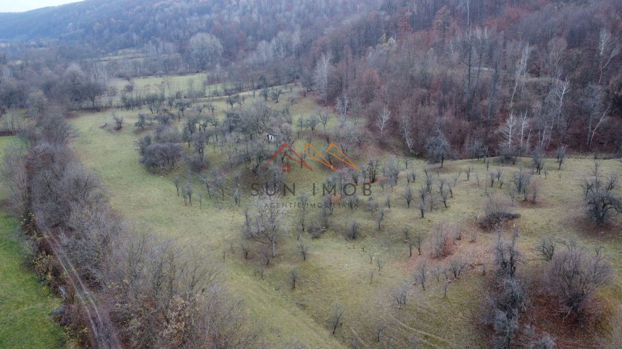 Teren 36000 m2, intravilan+partial extravilan, cadastru, Draganeasa PH - Poză 4