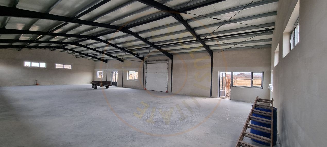 Inchiriere Hală Producție/Depozitare 300 mp, Teren 1791 mp - Carei - Poză 5